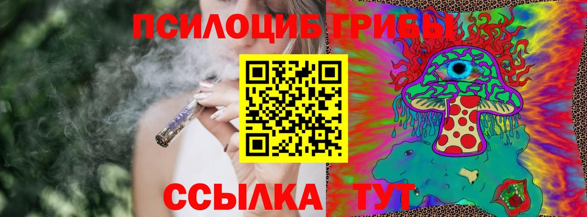 Галлюциногенные грибы Magic Shrooms  Псилоцибиновые грибы ЛСД  Вход с VPN  где найти   Вязники 